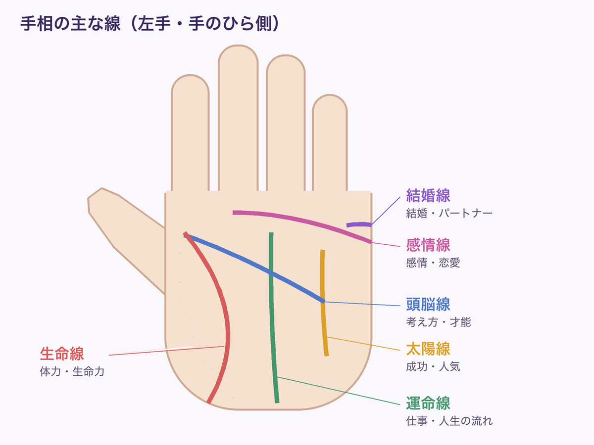 手相の主な線（生命線・頭脳線・感情線・運命線・太陽線・結婚線）の位置