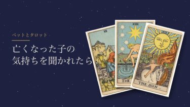 亡くなったペットの気持ちをタロットで聞かれたとき｜私が引く質問と占わない質問